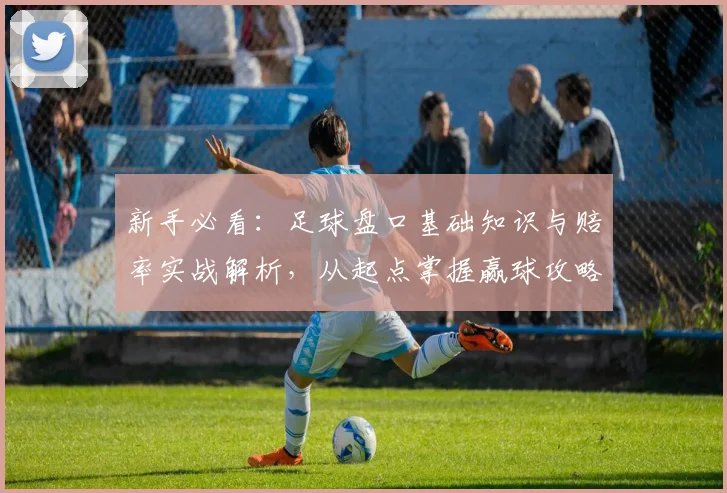 新手必看：足球盘口基础知识与赔率实战解析，从起点掌握赢球攻略