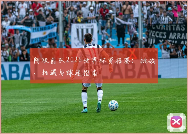 阿联酋队2026世界杯资格赛:挑战、机遇与球迷指南